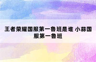 王者荣耀国服第一鲁班是谁 小蒜国服第一鲁班